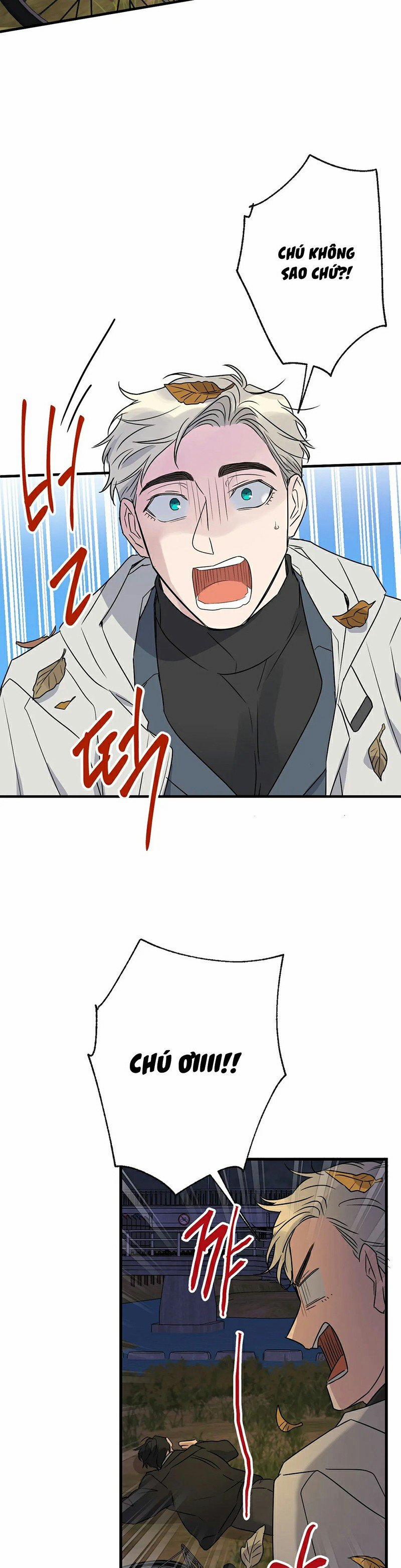 Tầm Ngắm 20 trang 21