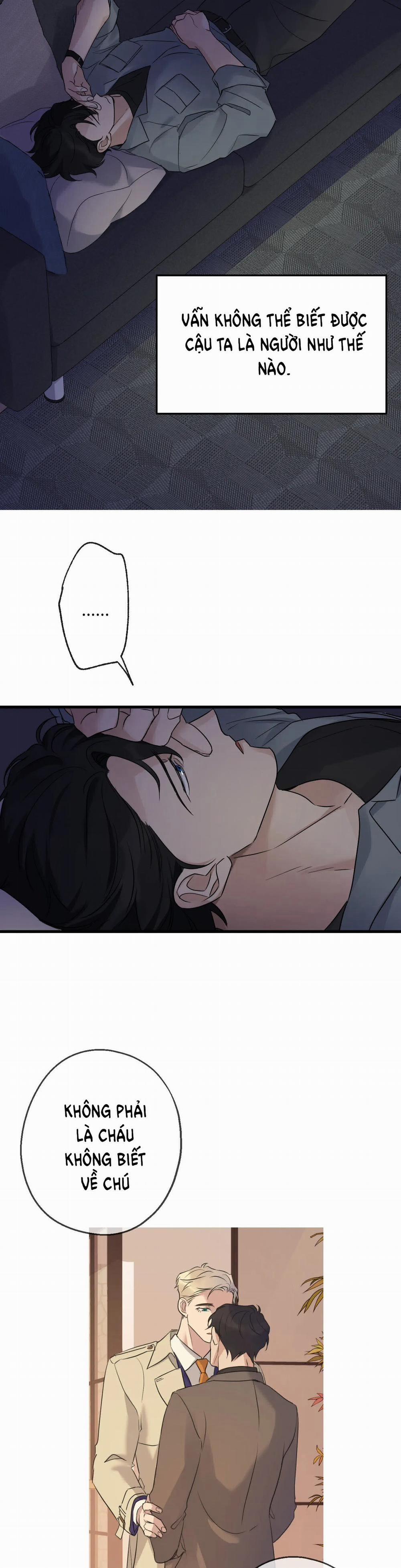 Tầm Ngắm 23 trang 19