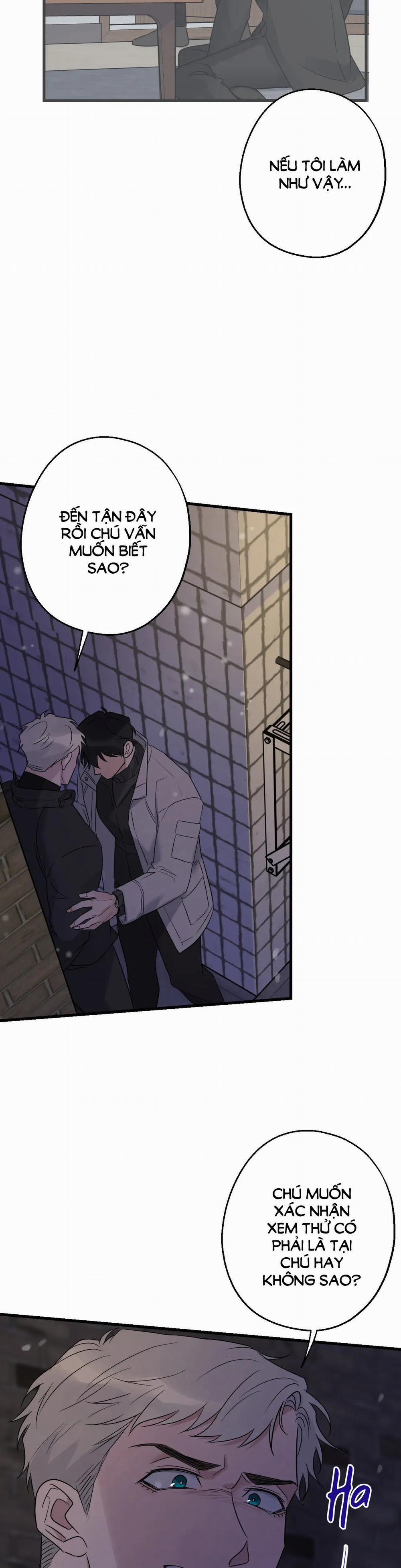 Tầm Ngắm 26 trang 21