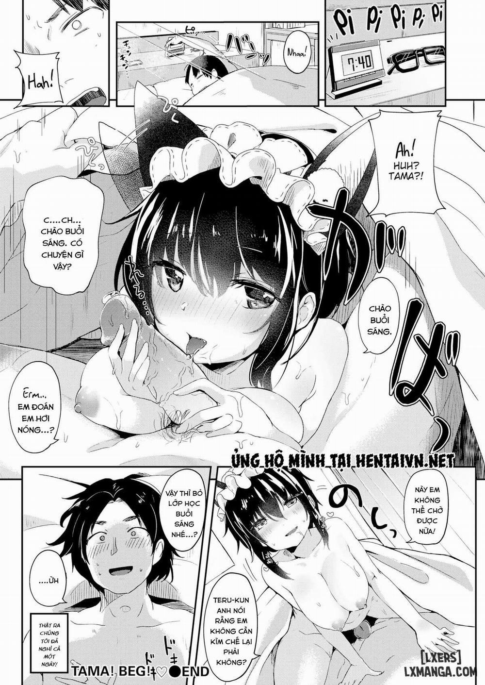 Tama! Beg! Oneshot trang 15