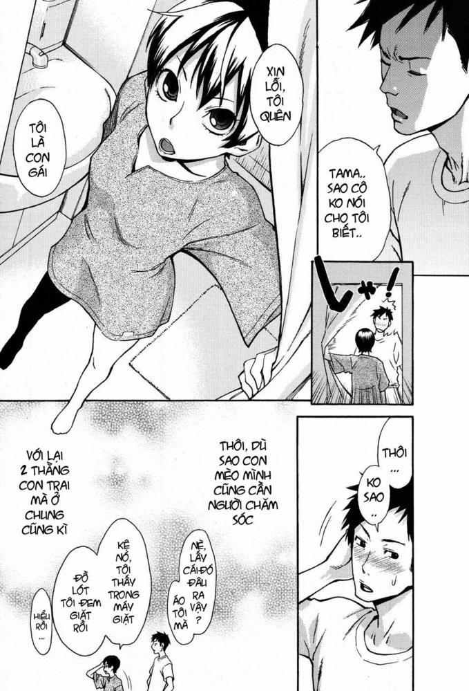 Tama from Third Streets 1 trang 7