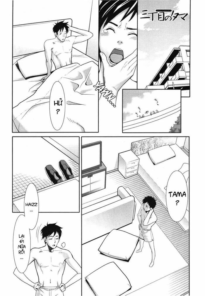 Tama from Third Streets 3 [End] trang 0