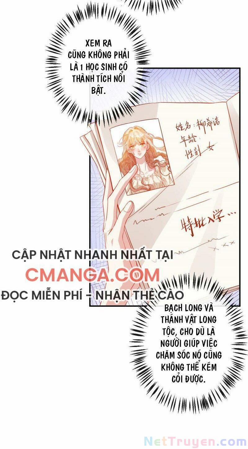 Tân Nương Long Tộc 34 trang 11