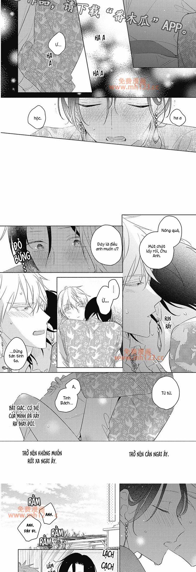 Tân Nương Vận Mệnh An Bài 19 trang 2