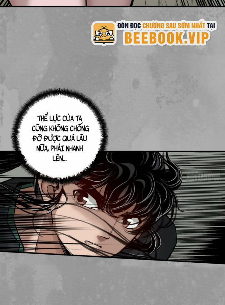 Tạng Phong Hành 228 trang 4