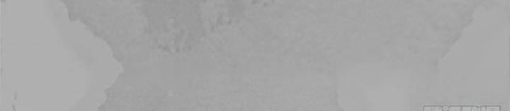 Tạng Phong Hành 230 trang 45