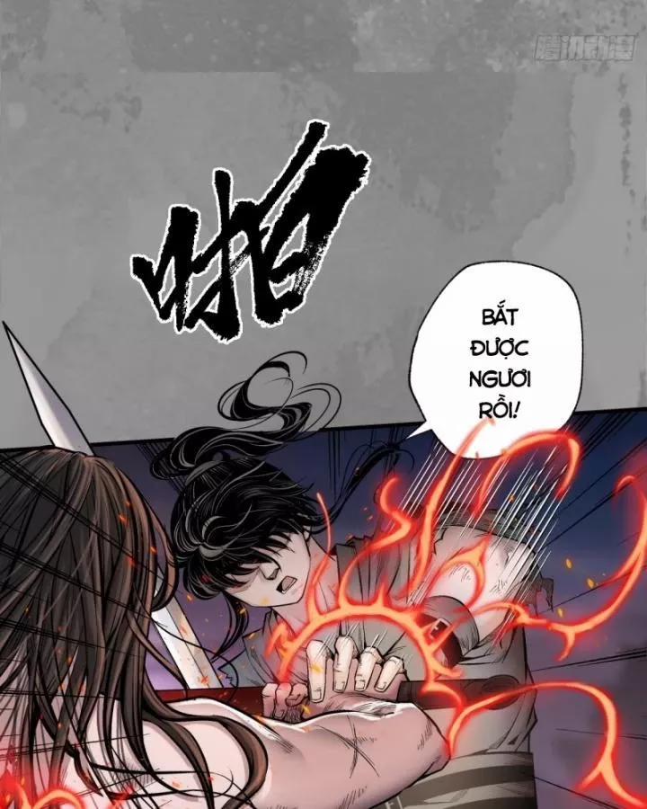 Tạng Phong Hành 242 trang 14