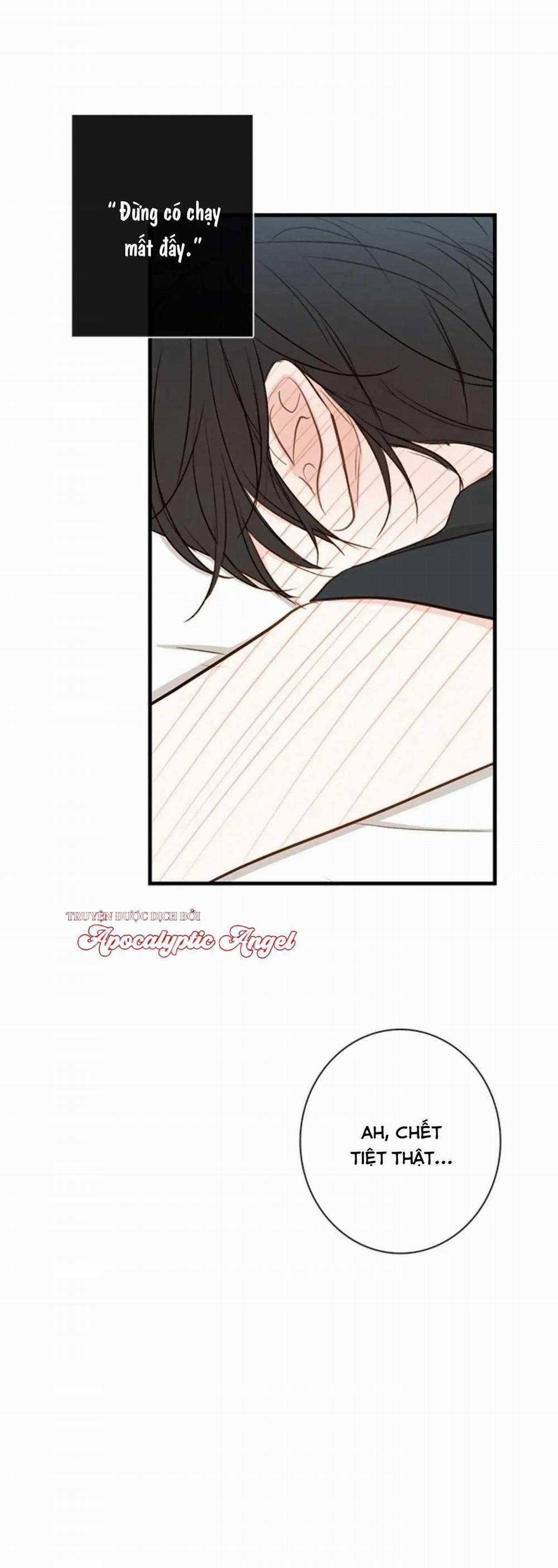 Táo (TĐTX) 66 trang 21