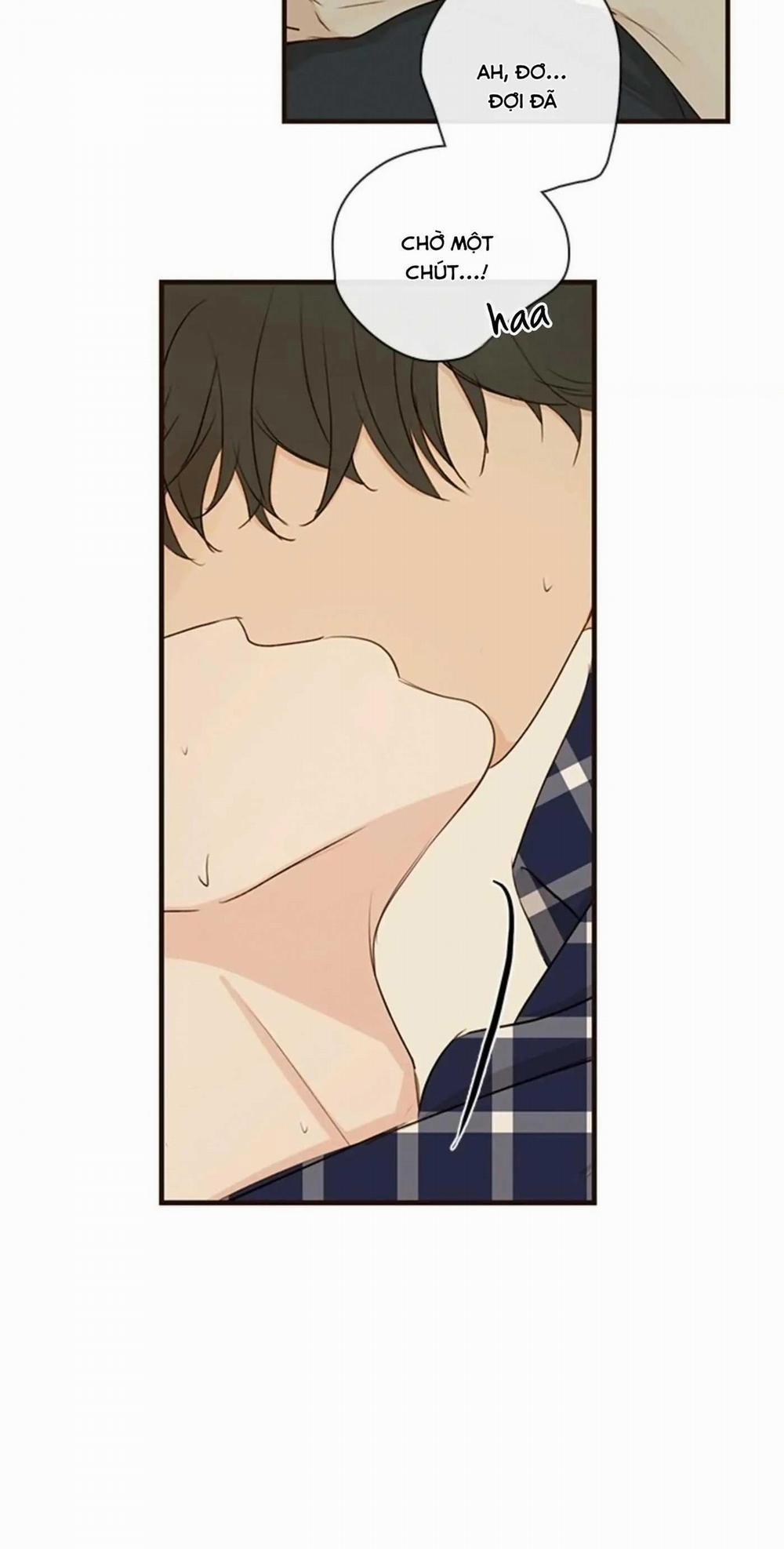 Táo (TĐTX) 66 trang 3