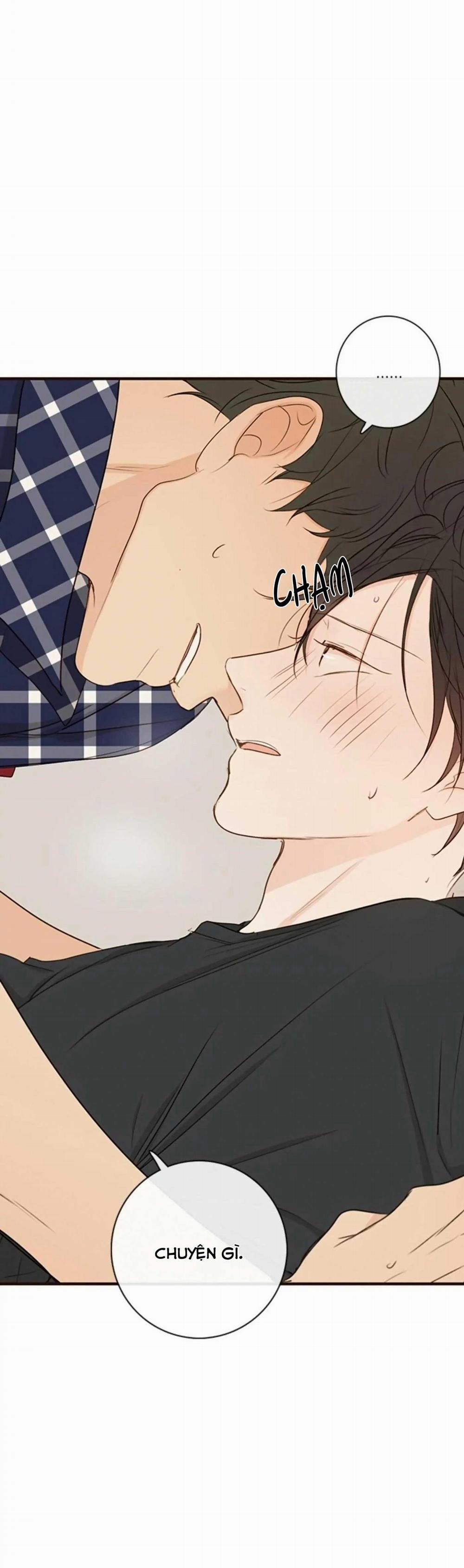 Táo (TĐTX) 66 trang 4