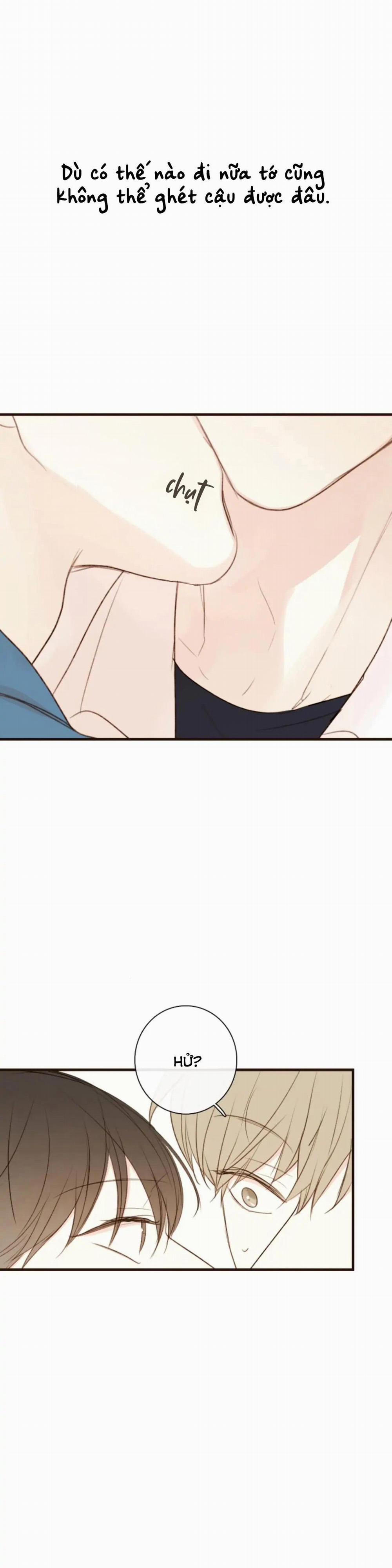 Táo (TĐTX) 72 trang 17