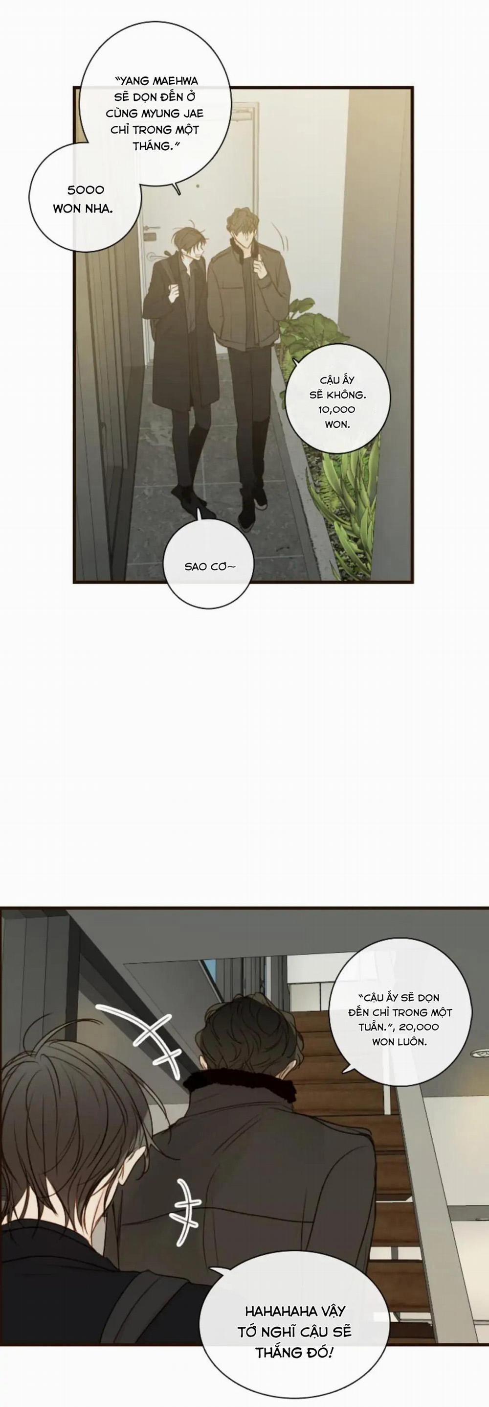 Táo (TĐTX) 72 trang 26