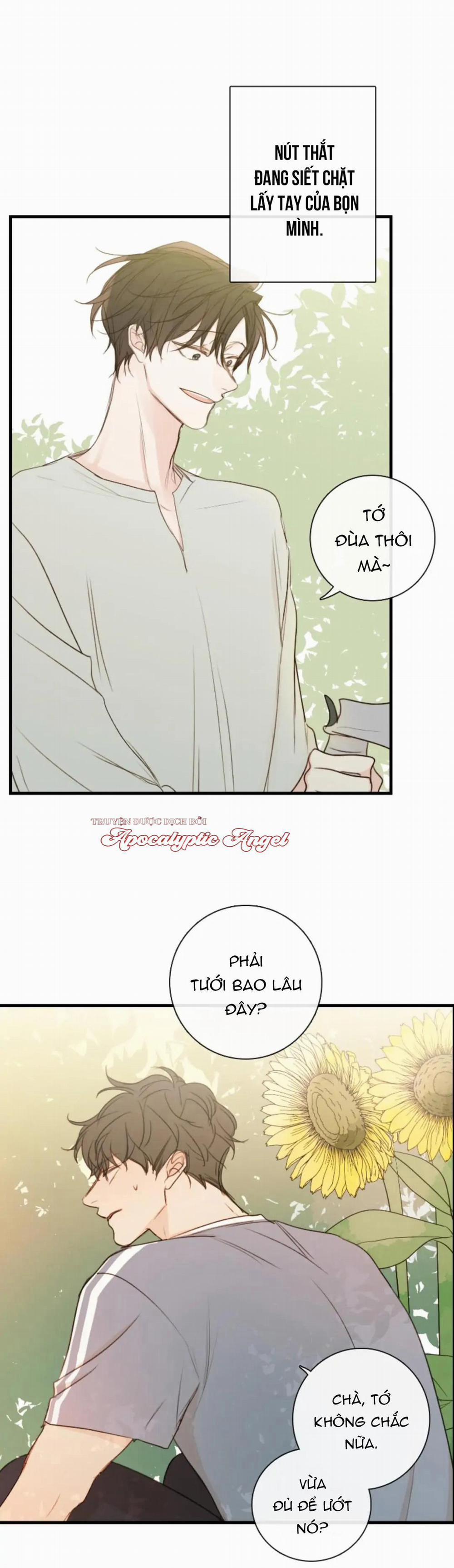 Táo (TĐTX) 74 trang 19