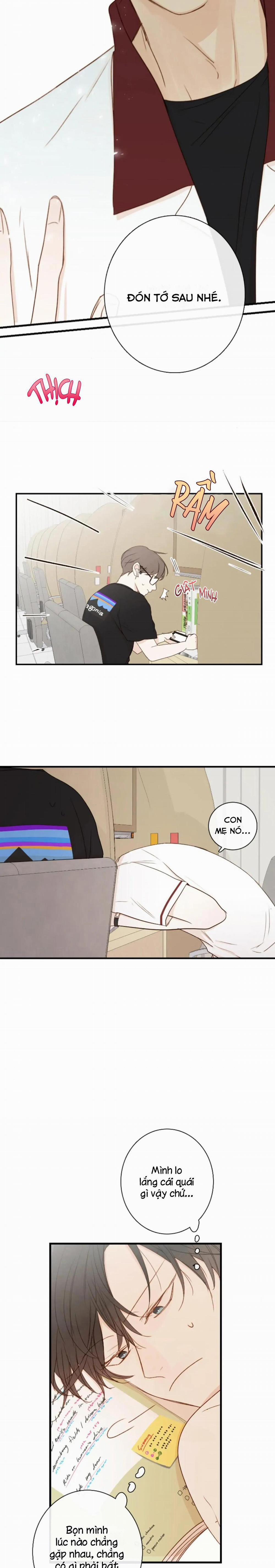 Táo (TĐTX) 75 trang 13