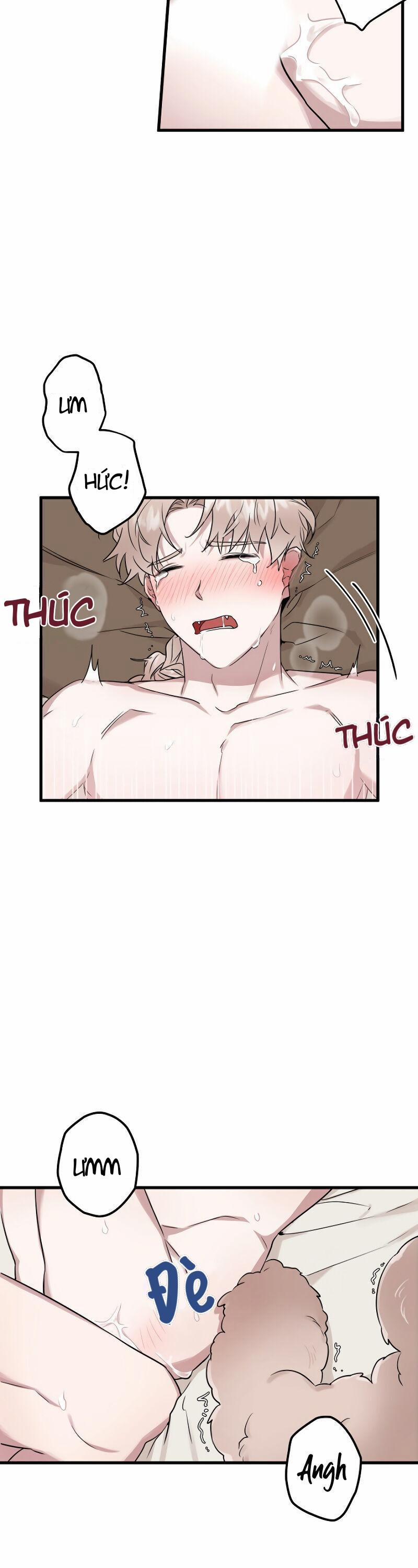Tập Manhwa Ngắn Xôi Thịt 18+ 6 trang 1