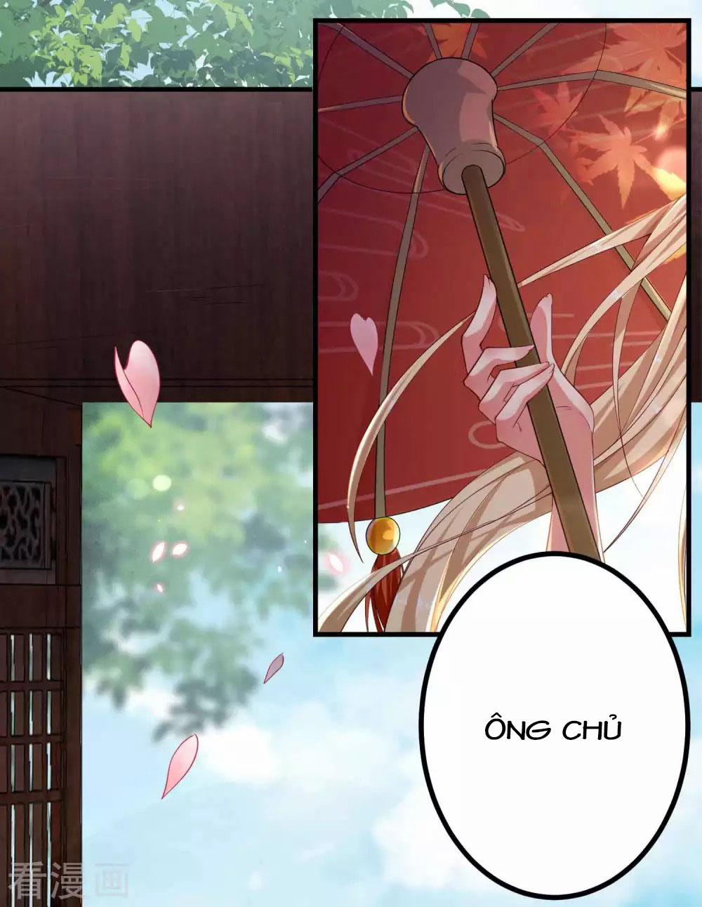 Tất Thắng Chí Tôn Chapter 3 - 44