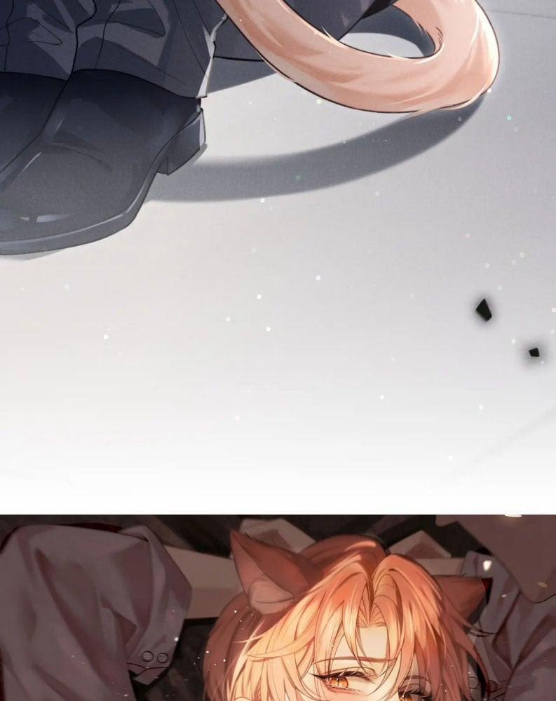 Tật Xấu Nuông Chiều 2 trang 5