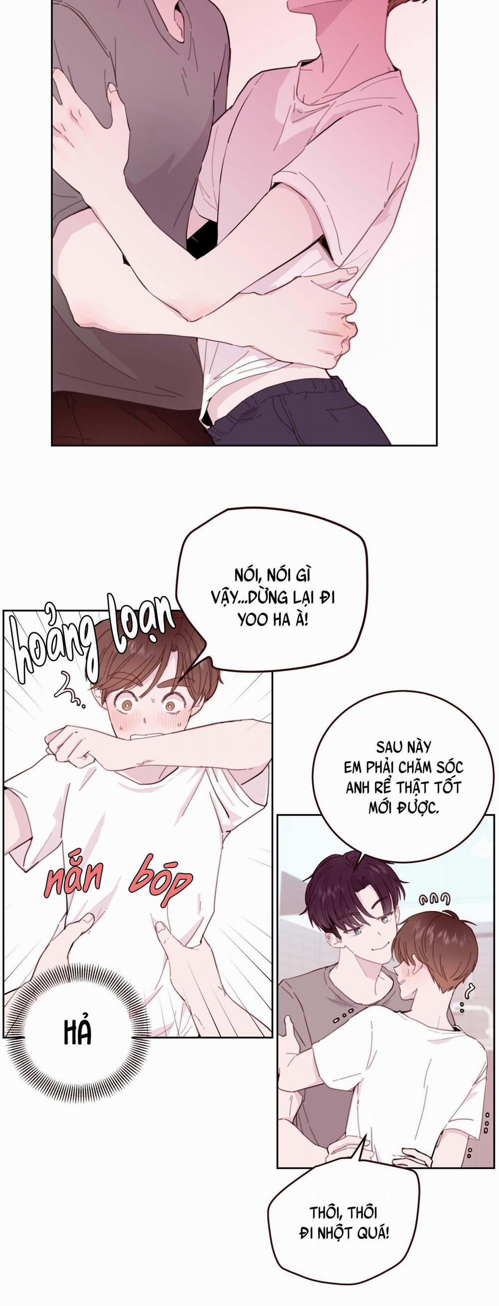 Tên Em Vợ Nguy Hiểm Của Tôi 2 trang 13
