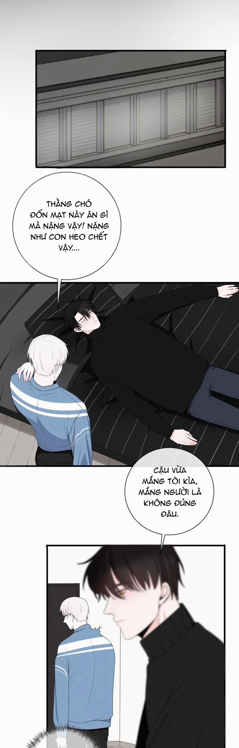 Tên Vệ Sĩ Ngạo Kiều 11 trang 8