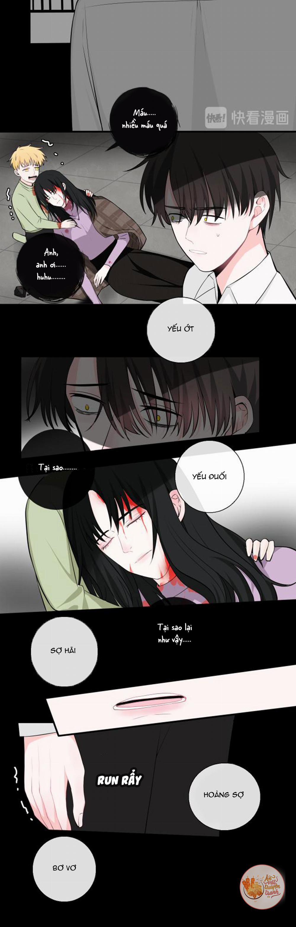 Tên Vệ Sĩ Ngạo Kiều 13 trang 11