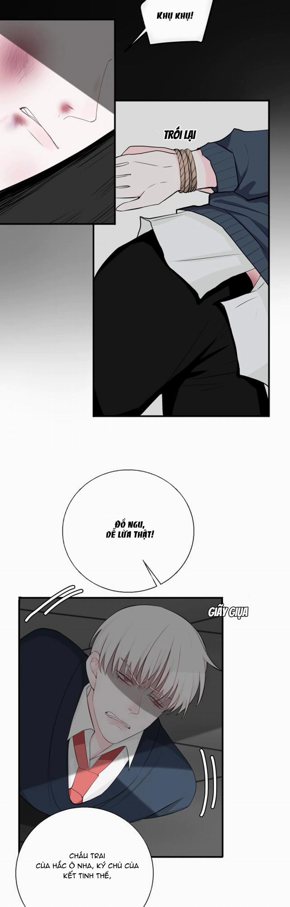 Tên Vệ Sĩ Ngạo Kiều 14 trang 14