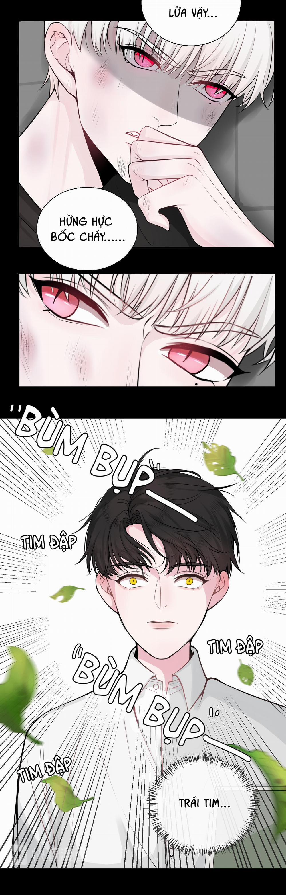 Tên Vệ Sĩ Ngạo Kiều 23 trang 11