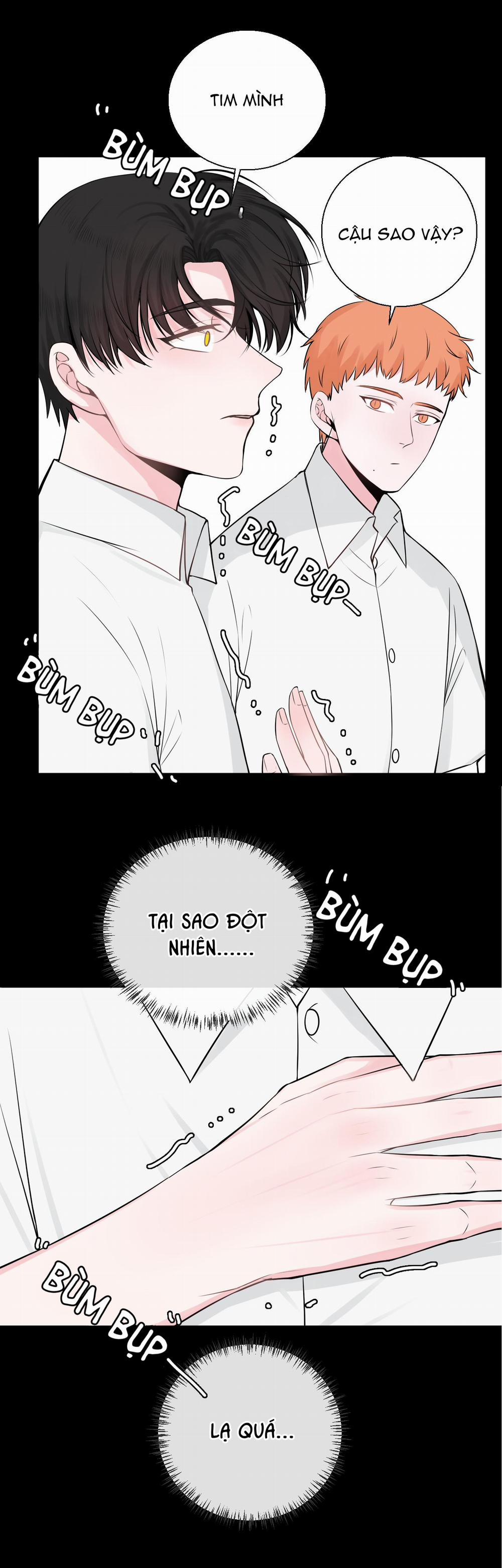 Tên Vệ Sĩ Ngạo Kiều 23 trang 12