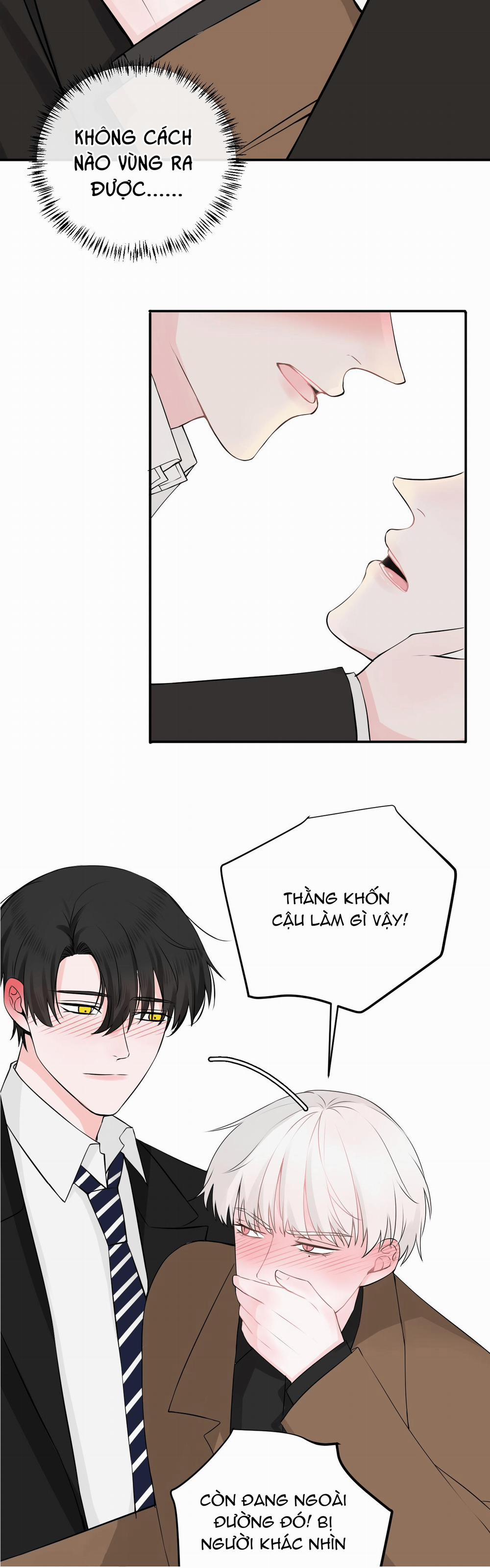 Tên Vệ Sĩ Ngạo Kiều 25 trang 6