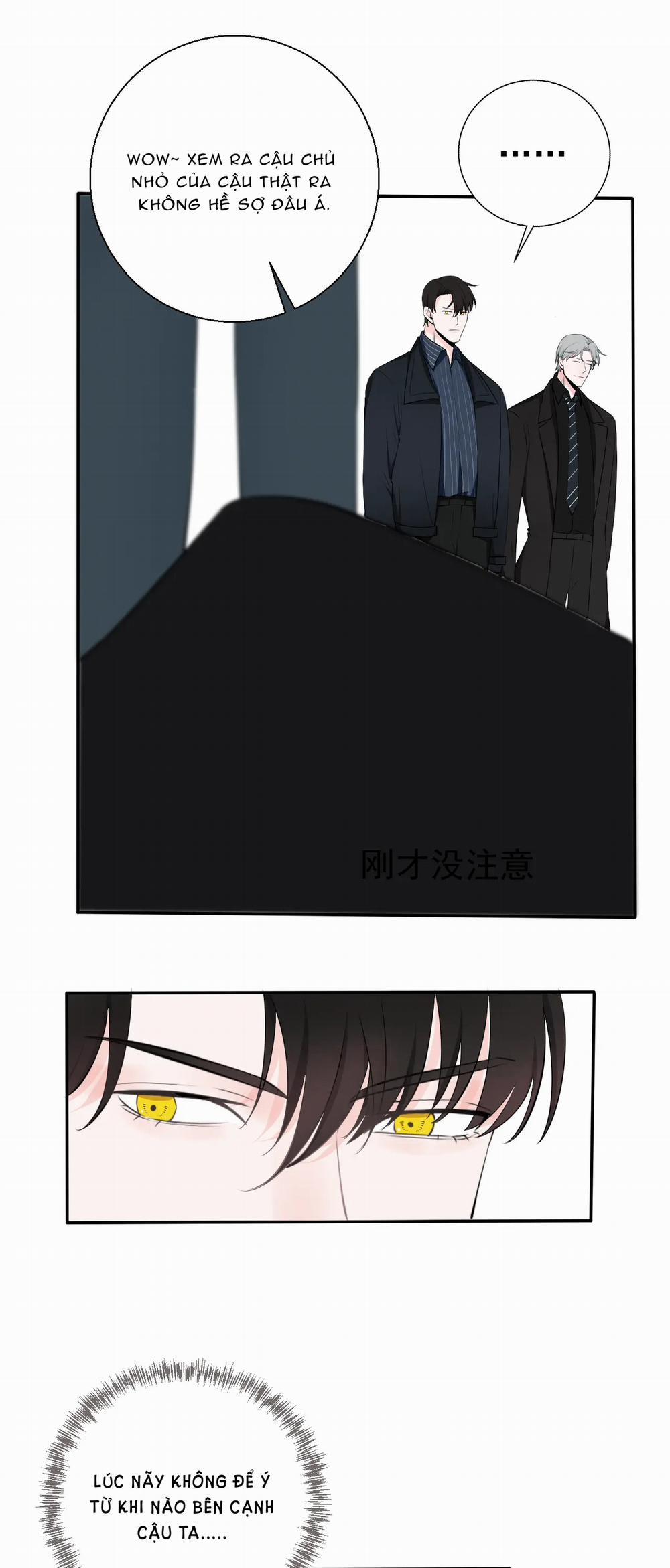 Tên Vệ Sĩ Ngạo Kiều 8 trang 12