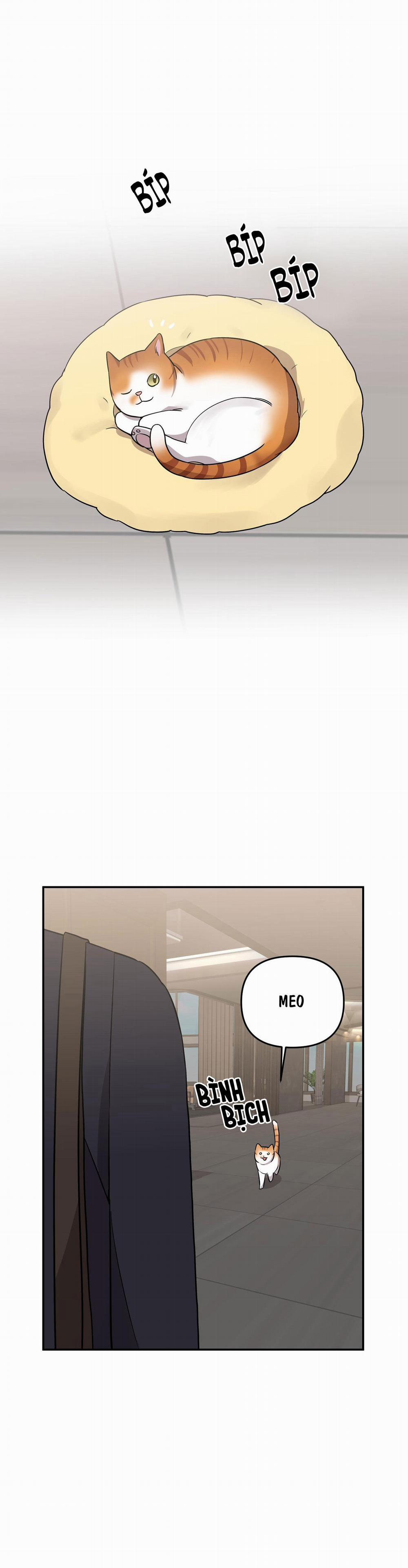 Tên Xấu Xa Của Tôi Xxx 38 trang 48