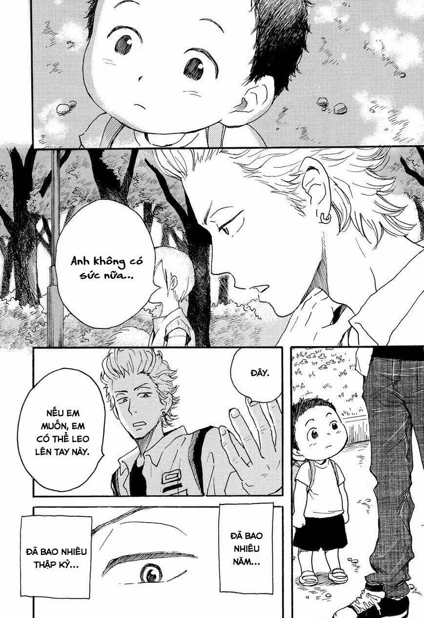 Tenohira Size 7 trang 16