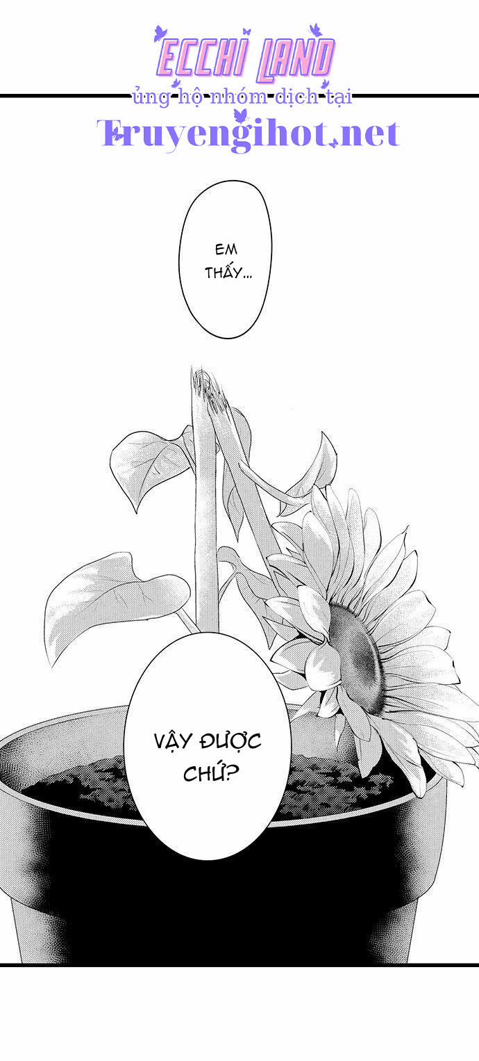 Thả Thính Chàng Gấu Nhà Tôi 60.1 trang 5