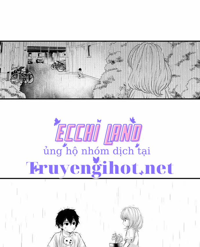 Thả Thính Chàng Gấu Nhà Tôi 61.2 trang 2