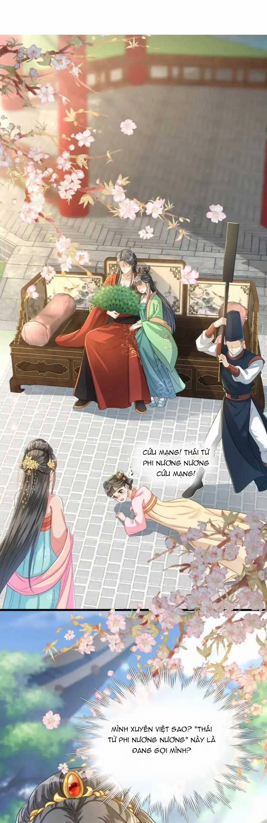 Thái Tử Phi Thế Thân 1 trang 2