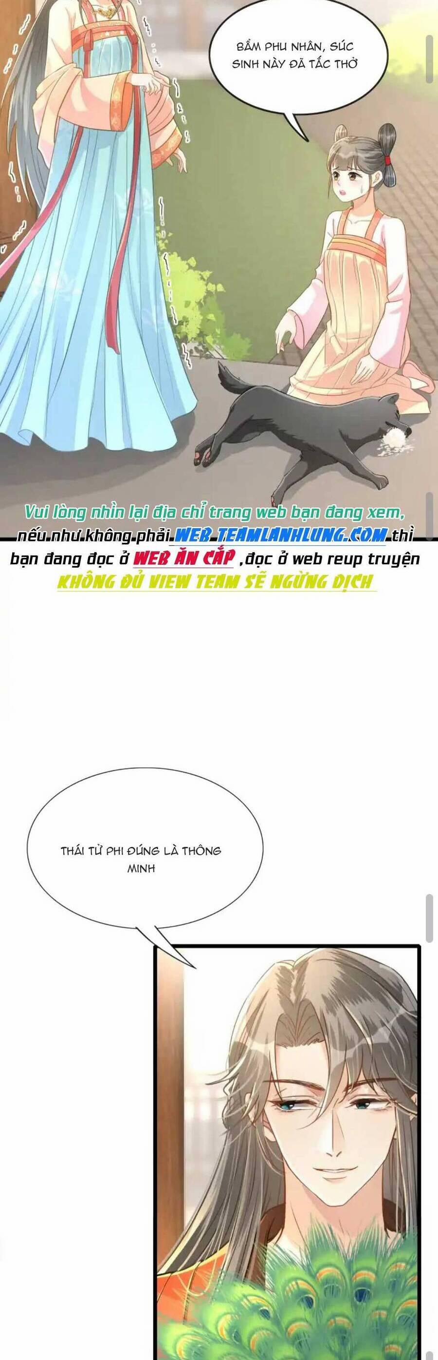 Thái Tử Phi Thế Thân 3 trang 17