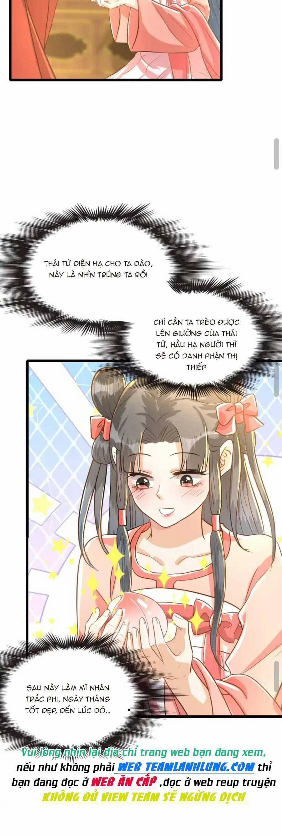 Thái Tử Phi Thế Thân 7 trang 22