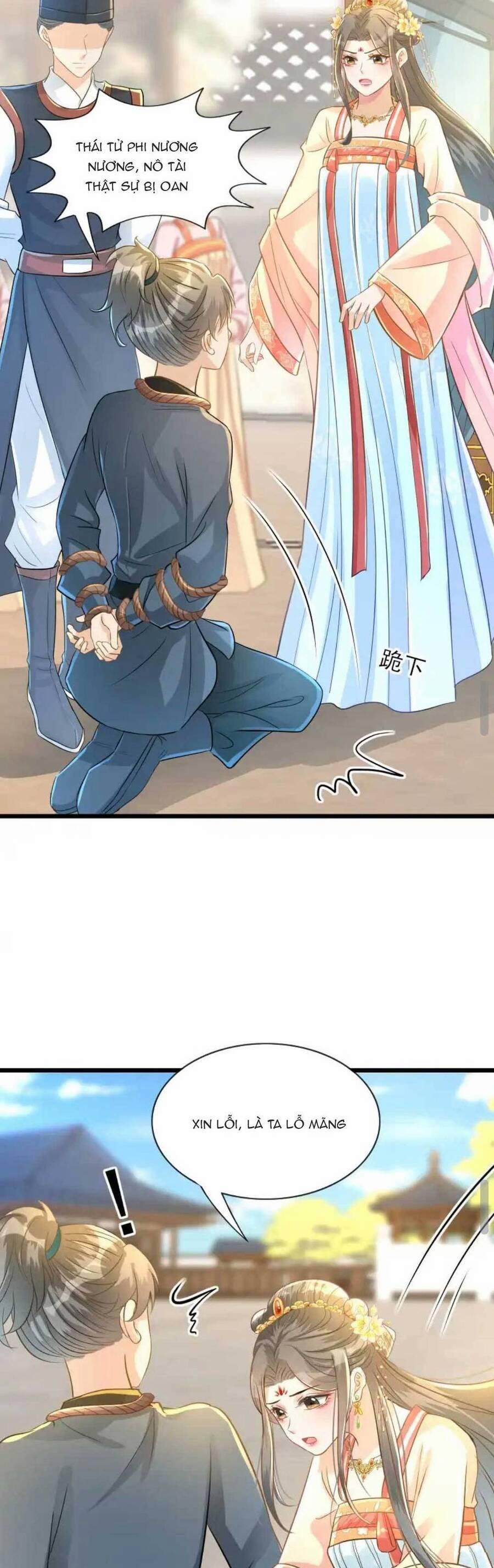 Thái Tử Phi Thế Thân 8 trang 17