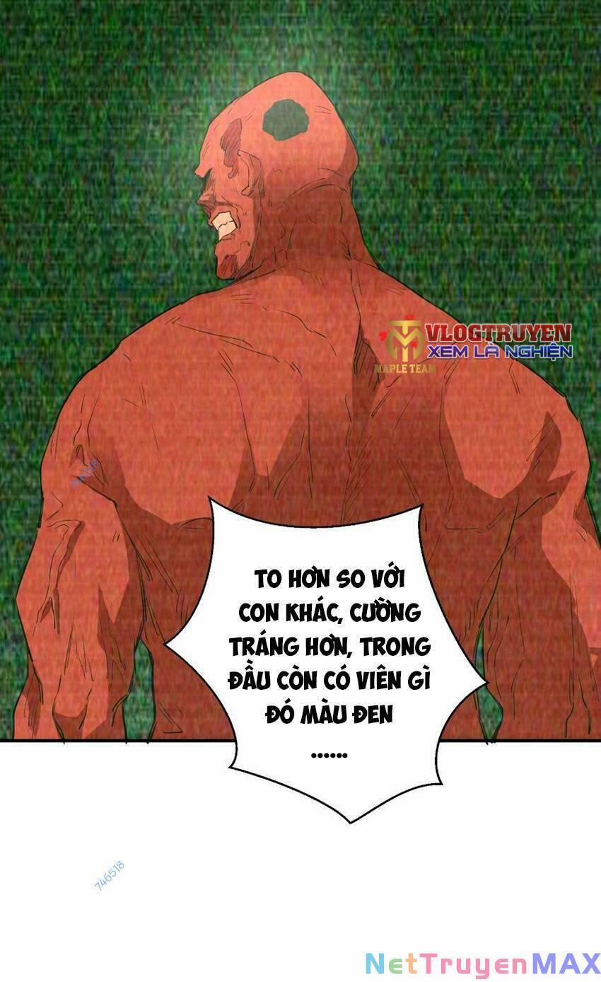 Thảm Họa Ngày Tận Thế, Tôi Tái Sinh Biến Cả Gia Đình Trở Thành Một Ông Trùm! 29 trang 16