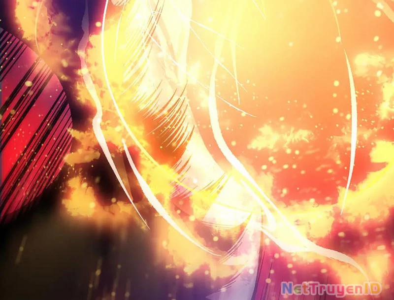 Thảm Họa Tử Linh Sư 159 trang 10