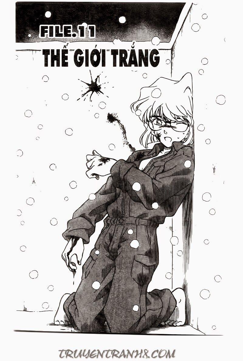 Thám Tử Conan 242 trang 0