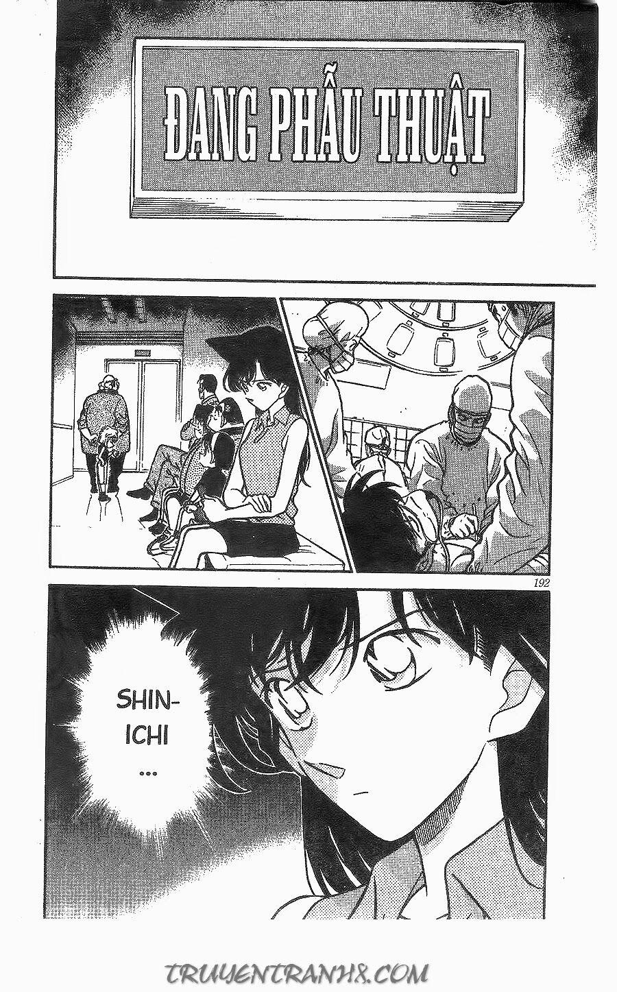 Thám Tử Conan 253 trang 17