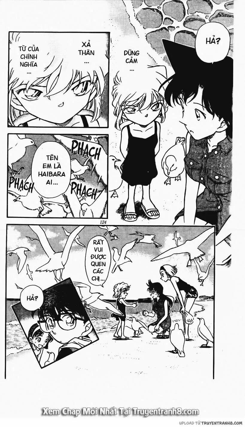 Thám Tử Conan 313 trang 17