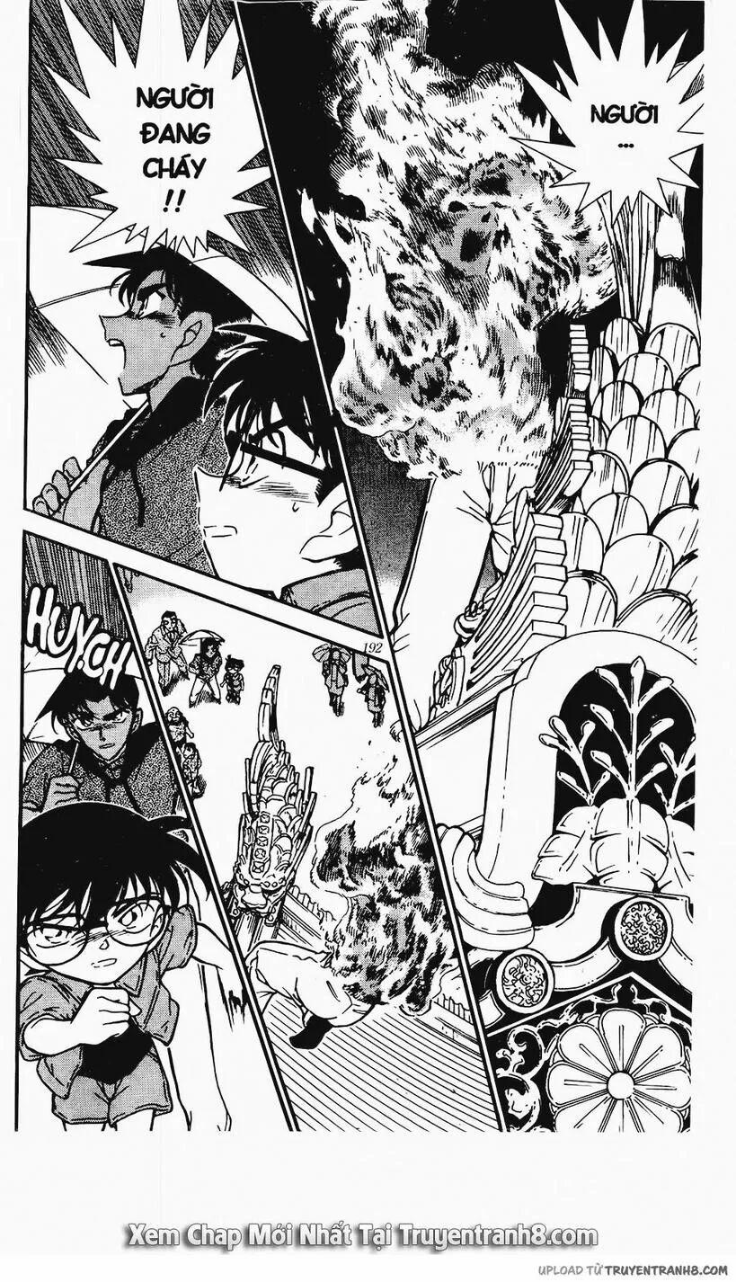 Thám Tử Conan 317 trang 15