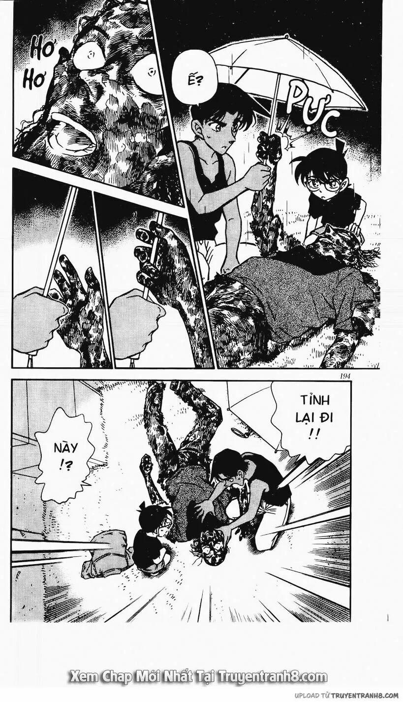 Thám Tử Conan 317 trang 17