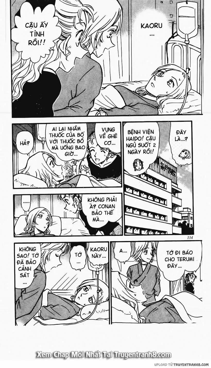 Thám Tử Conan 324 trang 13