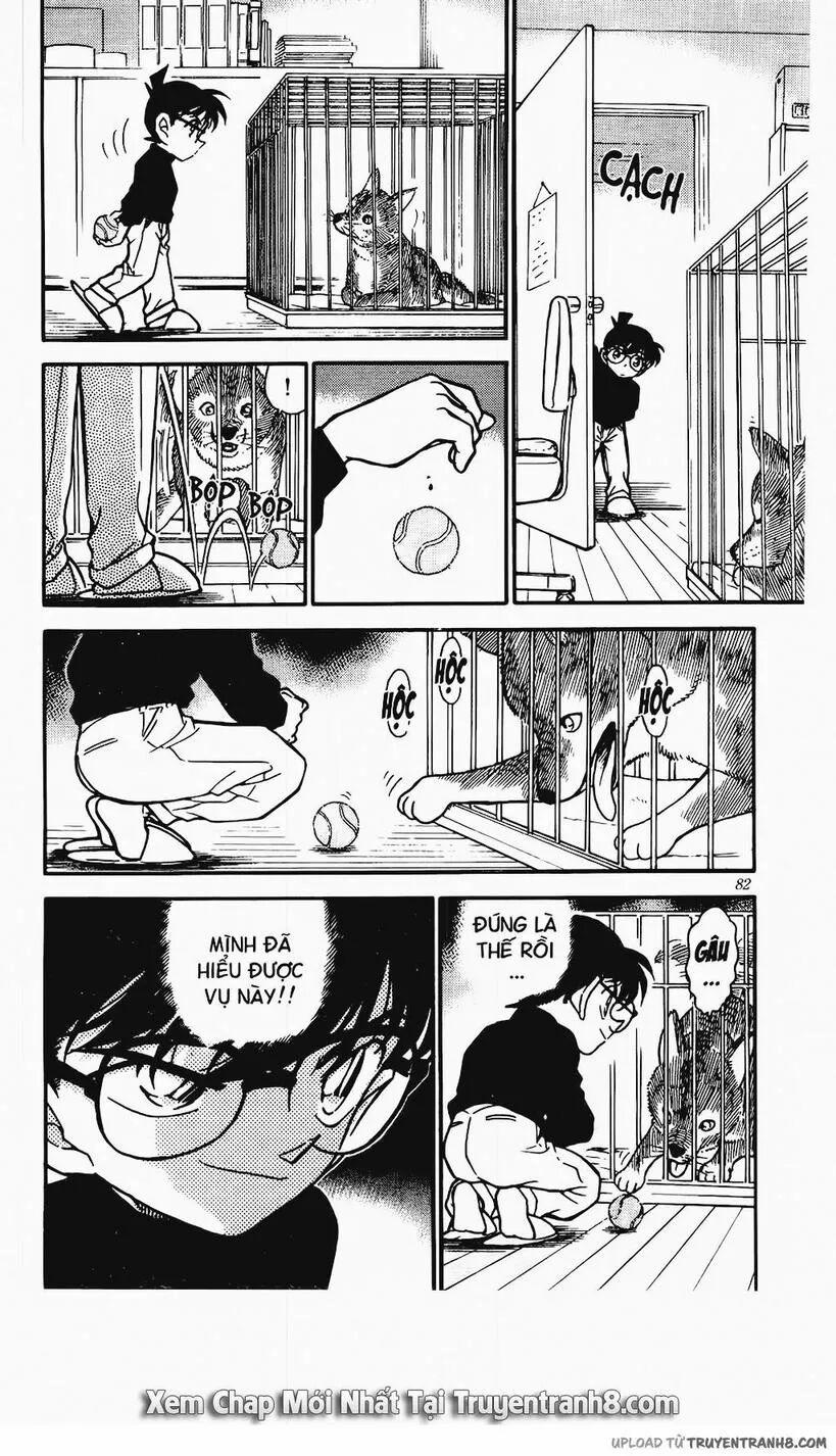 Thám Tử Conan 333 trang 11