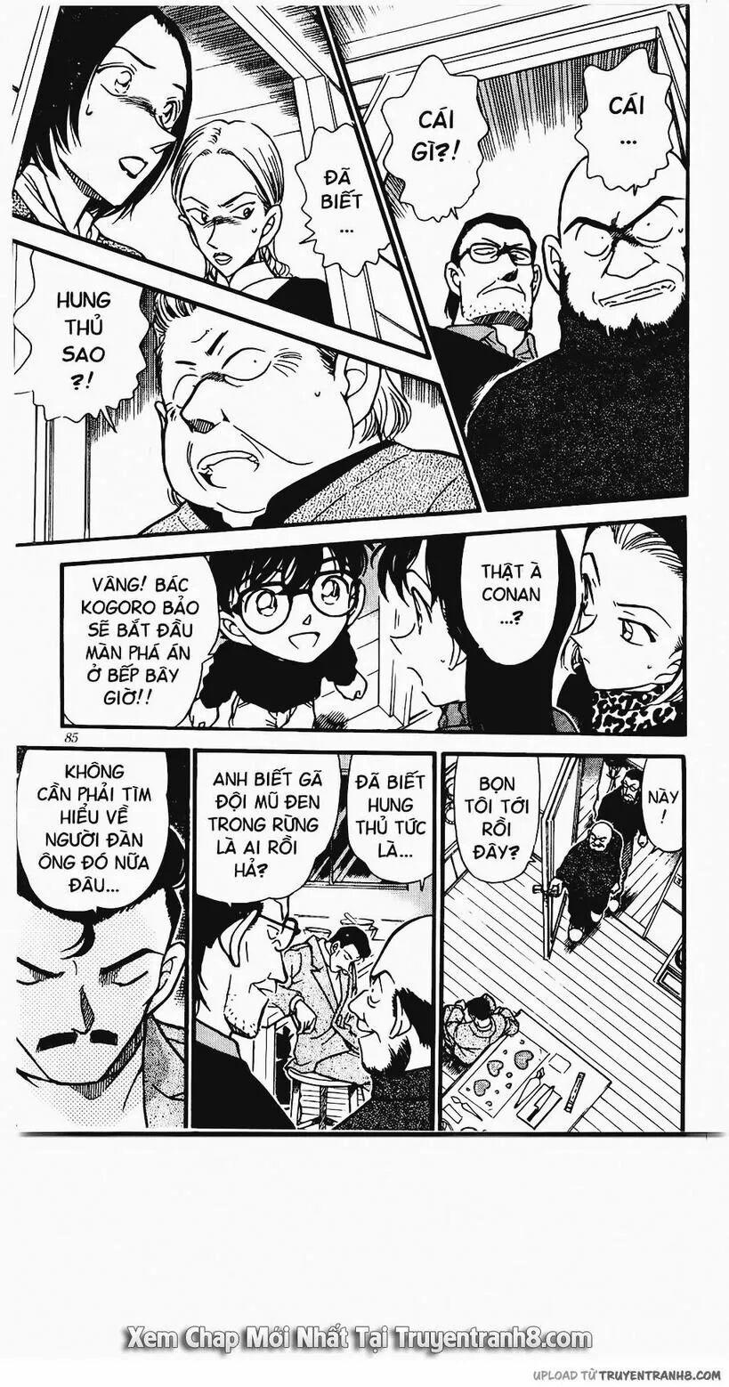 Thám Tử Conan 333 trang 14