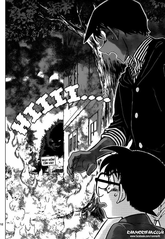 Thám Tử Conan 959 trang 11