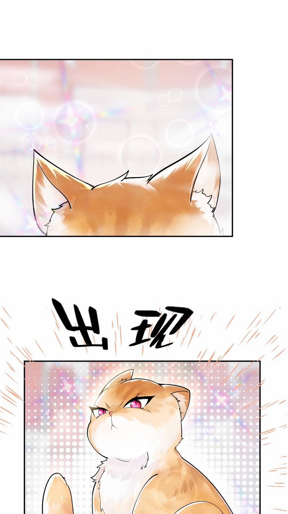 Thần Cấp Khế Ước : Bắt Đầu Với Một Con Mèo 1 trang 53