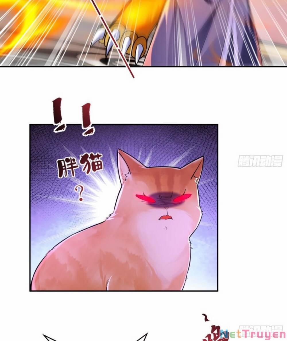 Thần Cấp Khế Ước : Bắt Đầu Với Một Con Mèo 2 trang 11